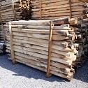 Grosseto | bosco ceduo vendita